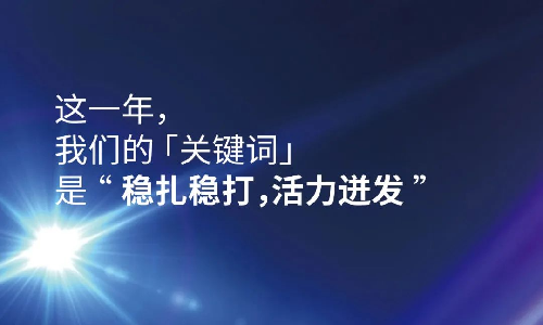 2023这一年，我们的关键词是“稳扎稳打，活力迸发”